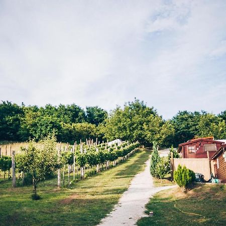 잘레크세니 Dutch Hill B&B 외부 사진