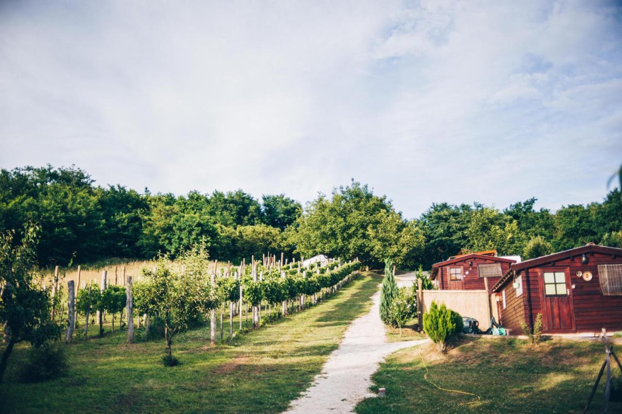 잘레크세니 Dutch Hill B&B 외부 사진